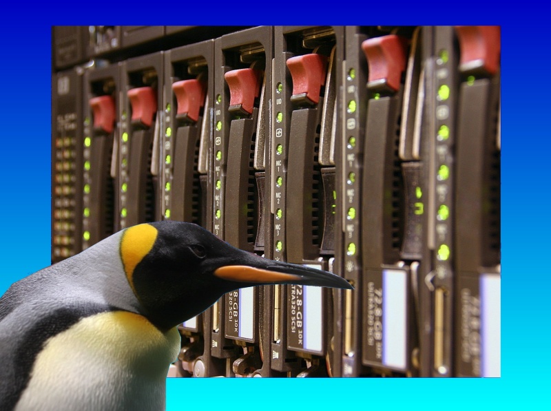 A SCSI rack mounted array is shown with a Linux penguin in front of them. The raid array had failed to rebuild correctly with 3 disks going offline before it was sent to us for recovery.