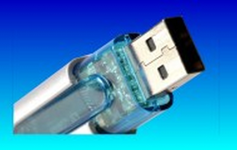 A USB pen drive with the connector pointing upwards.