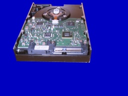 A SAS connector on hard drive is shown, with it's power and data connectors joined together unlike in a SATA disk. This one was sent to us as part of a raid system that needed data recovery.